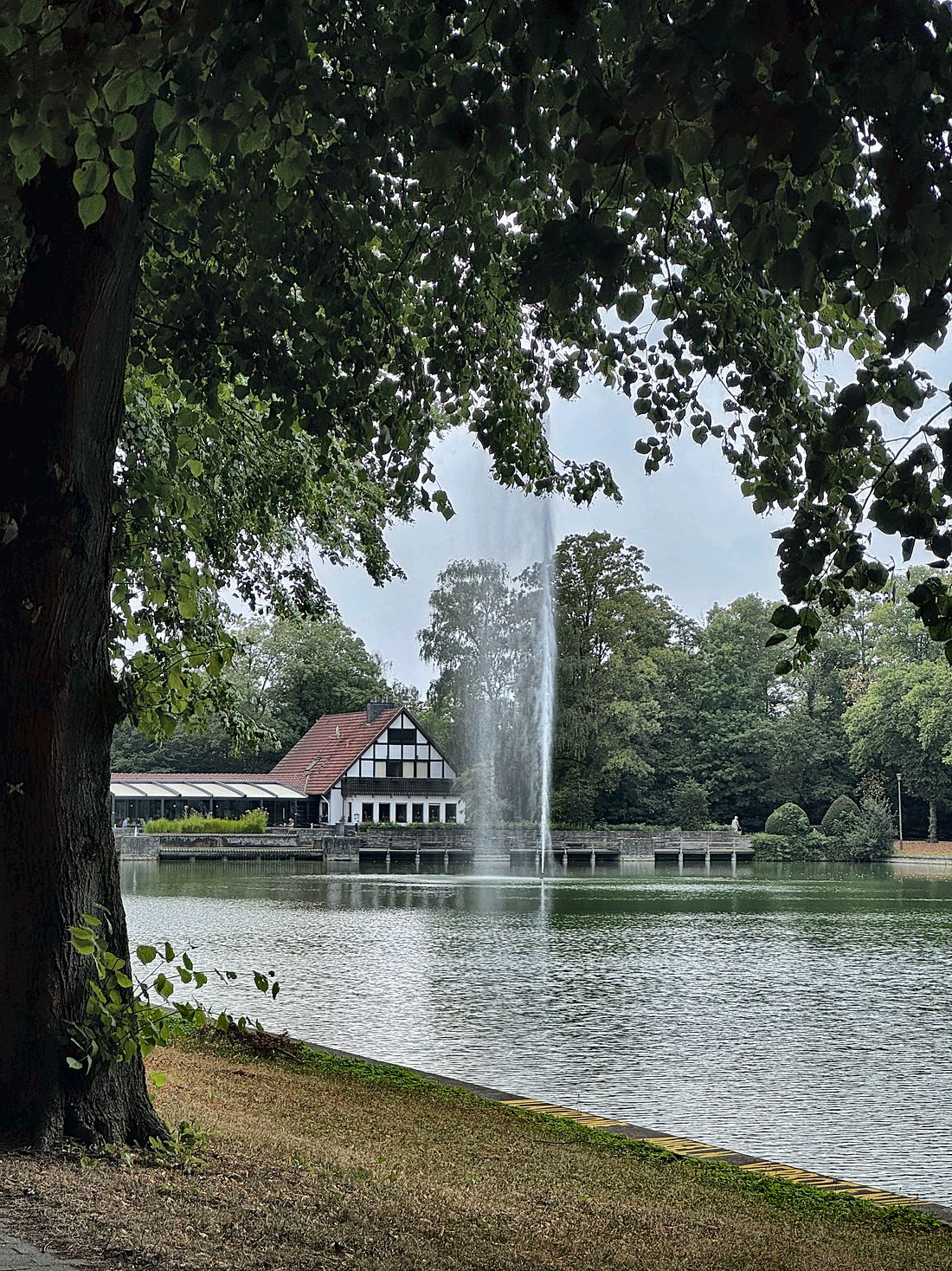 Blick vom Ufer über den Teich auf das Haus, im Vordergrund der Stamm einer Linde