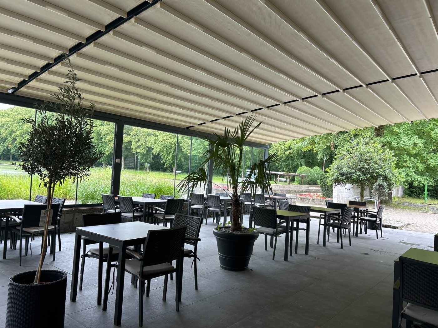 Die überdachte Terrasse bei Tag, mit Olivenbaum im Kübel und Blick ins Grüne